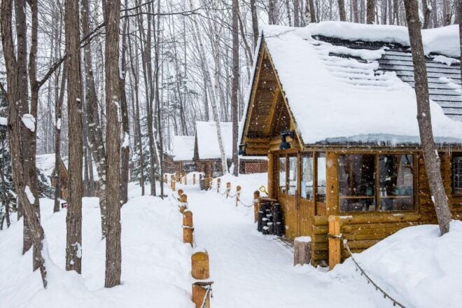 From Sapporo: 10-hour Customized Private Tour to Furano - Full Description of the Tour