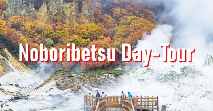 From Sapporo: 10-hour Customized Private Tour to Noboribetsu - Activity Details and Benefits