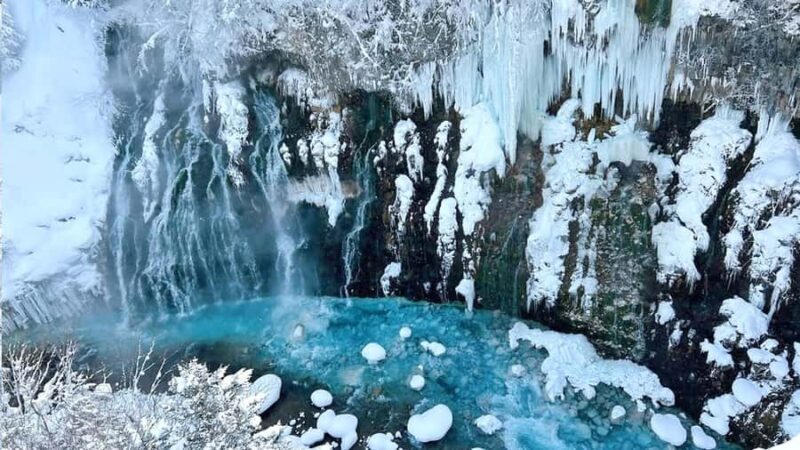 From Sapporo: Asahiyama Zoo, Waterfall & Blue Pond Tour - Practical Details and Value