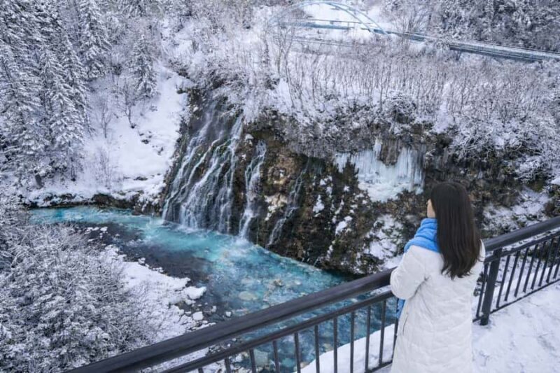 From Sapporo: Asahiyama Zoo, Waterfall & Blue Pond Tour - Good To Know