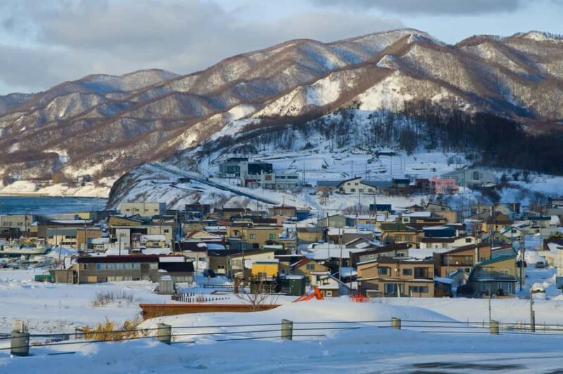 From Sapporo: Biei, Furano or Asahikawa Private Day Trip - A Deep Dive into the Experience