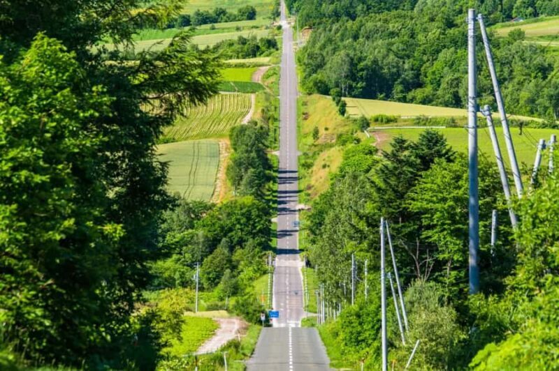 From Sapporo: Biei, Furano or Asahikawa Private Day Trip - FAQ