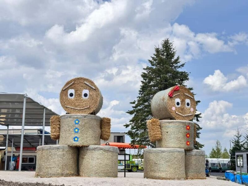 From Sapporo: Biei, Furano or Asahikawa Private Day Trip - Who Should Consider This Tour?