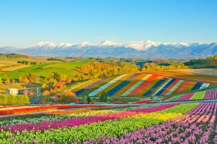 From Sapporo: Hokkaido Day Tour With Lunch Options - Itinerary Highlights