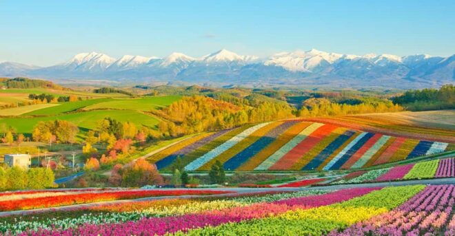 From Sapporo: Hokkaido Day Tour With Lunch Options - Scenic Stops