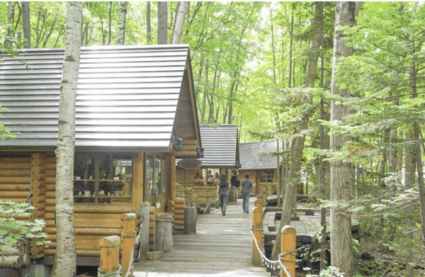 From Sapporo : Hokkaido Furano Tomita Farm Joiner Tour - Tips for a Great Experience