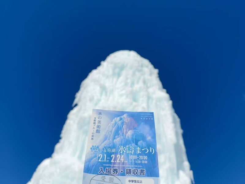 From Sapporo: Lake Shikotsu Ice Festival & Illumination Tour - Who Should Consider This Tour?