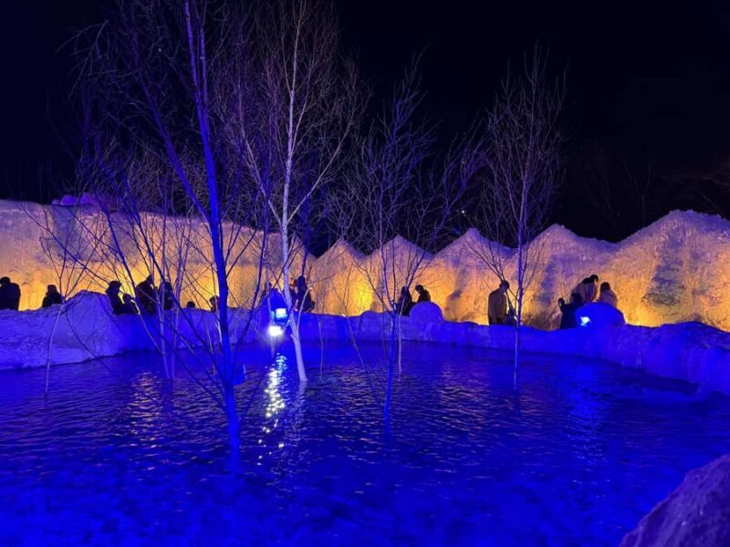From Sapporo: Lake Shikotsu Ice Festival & Illumination Tour - Who Is This Tour Best For?