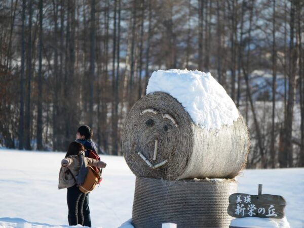 From Sapporo: Private Customized Day Tour to Biei+Furano - Travel Tips