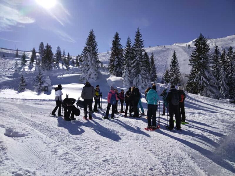 From Sarajevo: Mount Jahorina Snowshoeing Tour - The Sum Up