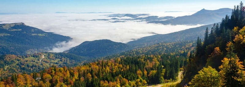 From Sarajevo: Olympic Mountains Private Trip - Who Might Want to Consider Alternatives?