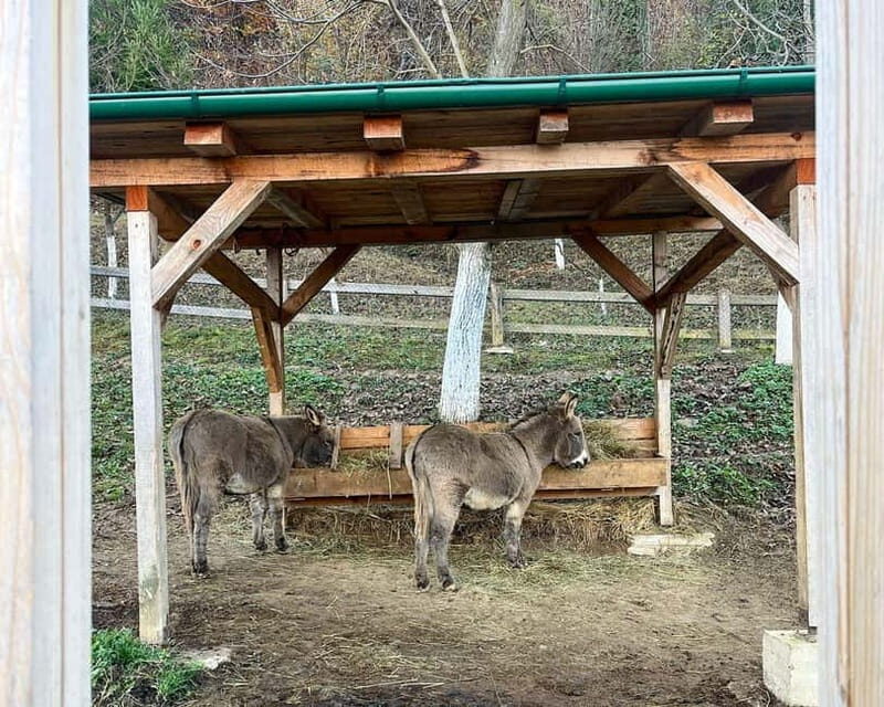 From Sarajevo: Visoko Pyramids, Plantations & Horse Riding - From Sarajevo: Visoko Pyramids, Plantations & Horse Riding – A Detailed Review