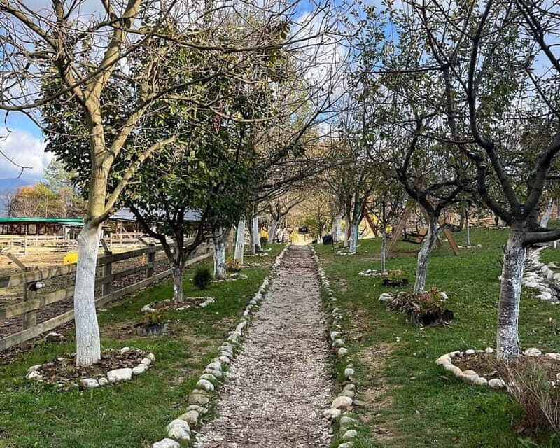 From Sarajevo: Visoko Pyramids, Plantations & Horse Riding - Practical Details and Tips