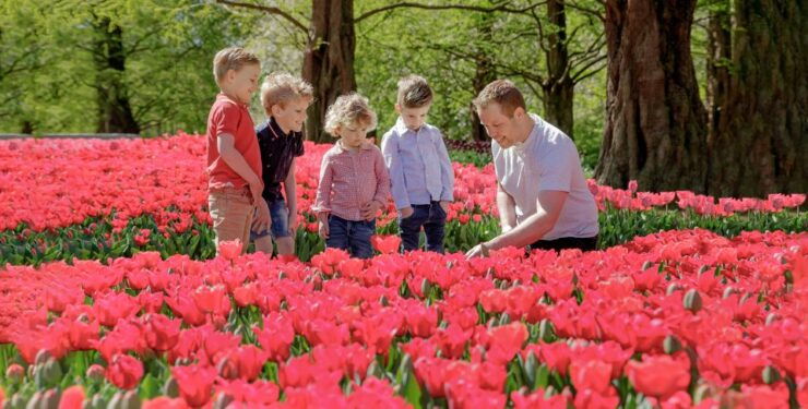 From Schiphol Airport: Keukenhof Entry and Public Bus Ticket - Keukenhof Gardens: A Floral Paradise