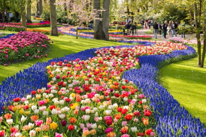 From Schiphol Airport: Keukenhof Entry and Public Bus Ticket - Highlights of Keukenhof Gardens