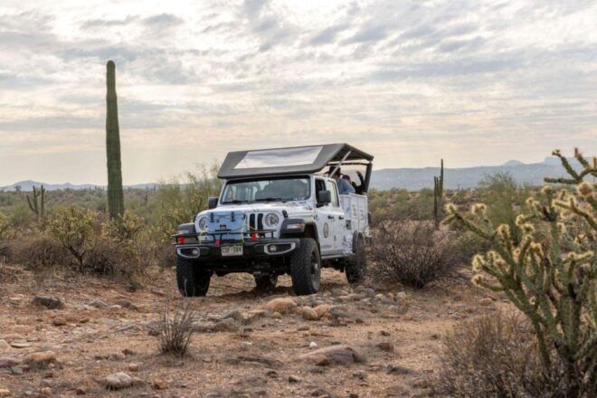 From Scottsdale: Jumping Cholla (Choya) Jeep Tour - Knowledgeable Western Tour Guide