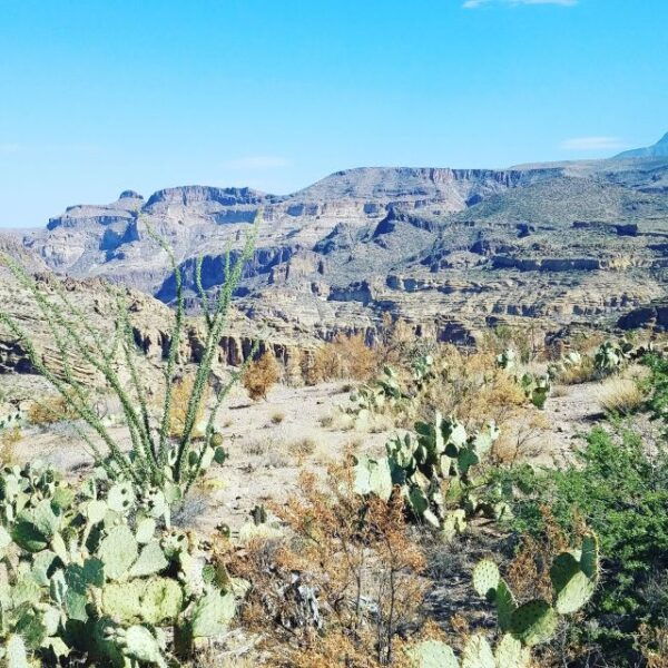 From Scottsdale/Phoenix: Apache Trail Day Tour - Common Questions