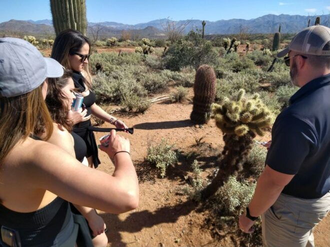 From Scottsdale: Sonoran Desert & Tonto National Forest Trip - Full Description
