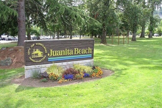 From Seattle: 5-hour Seattle and Suburbs Attractions Tour - Snoqualmie Falls: A Scenic Attraction