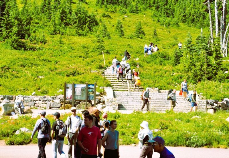 From Seattle: Customized Mount Rainier Tour - Why Choose the From Seattle: Customized Mount Rainier Tour?