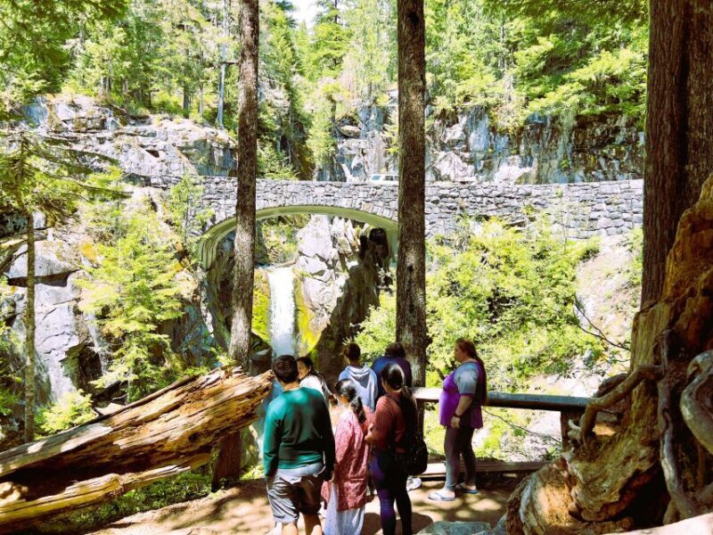 From Seattle: Customized Mount Rainier Tour - Transport and Comfort