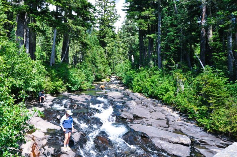 From Seattle: Customized Mount Rainier Tour - FAQ