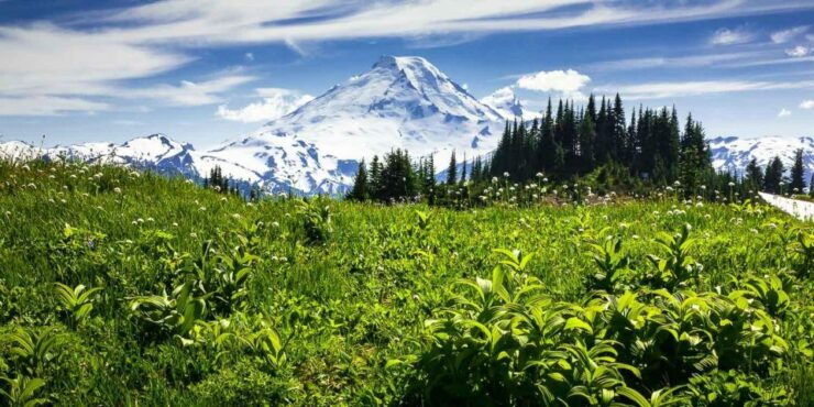 From Seattle - Enchanting Mt Baker & Cascade Mountains Tours - Scenic Drive on Mount Baker Highway