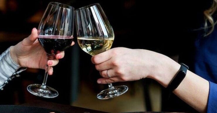 From Seattle: Full Day Seattles Wineries and Waterfalls Tour - Tour Highlights
