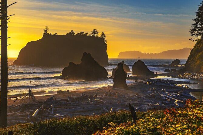 From Seattle Hoh rain forest and Olympic National Park Highlight - Perfect For: Who Will Love This Tour?