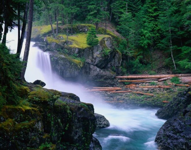 From Seattle: Mount Rainier Full-Day Tour - Additional Information