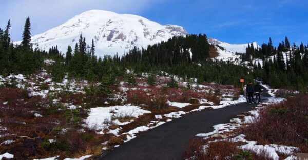 From Seattle: Mount Rainier Full-Day Tour - The Sum Up