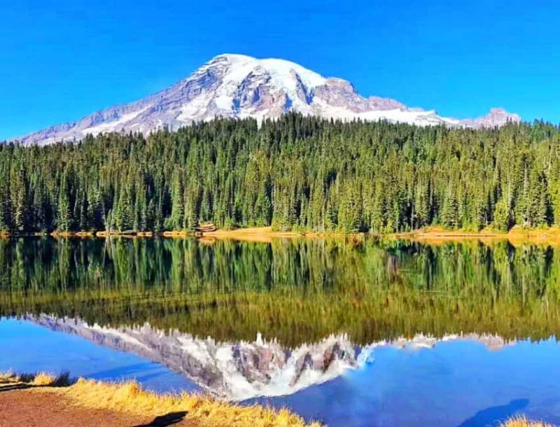 From Seattle: Mount Rainier National Park 1-Day Tour - Good To Know