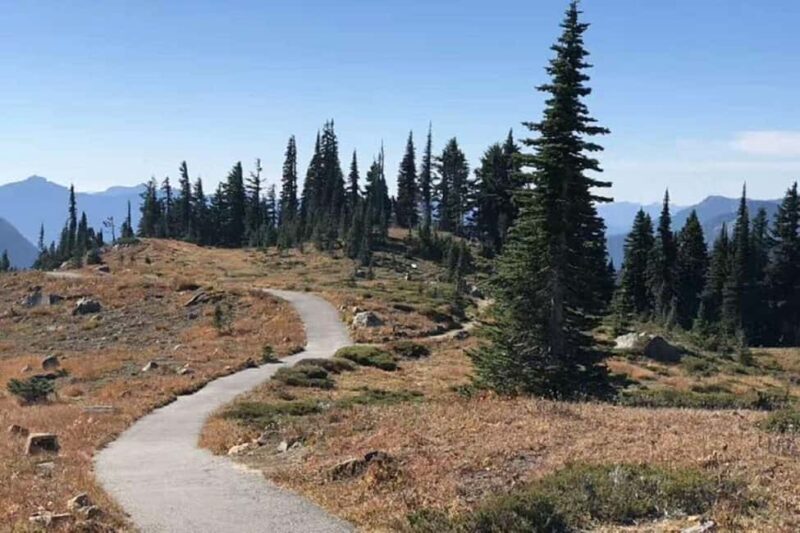From Seattle: Mount Rainier National Park 1-Day Tour - The Itinerary: What to Expect