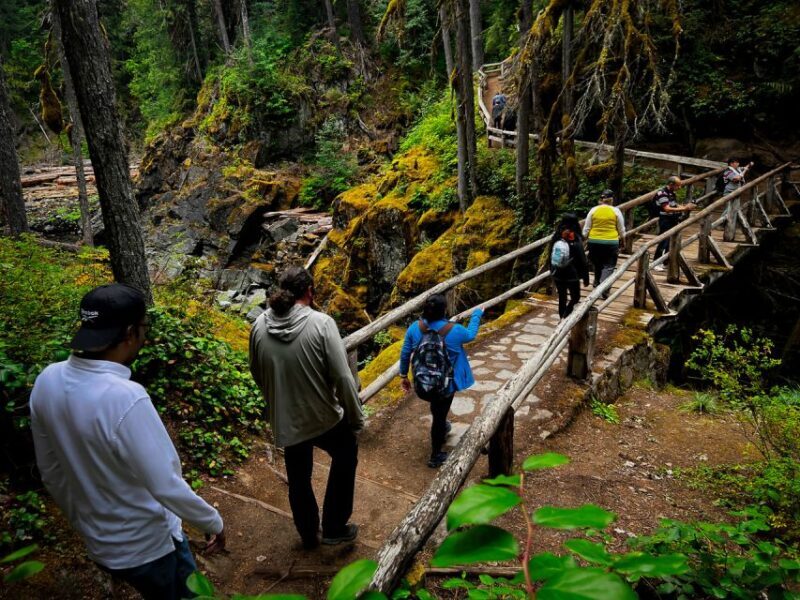 From Seattle: Mount Rainier National Park Guided Tour - An In-Depth Look at the Experience