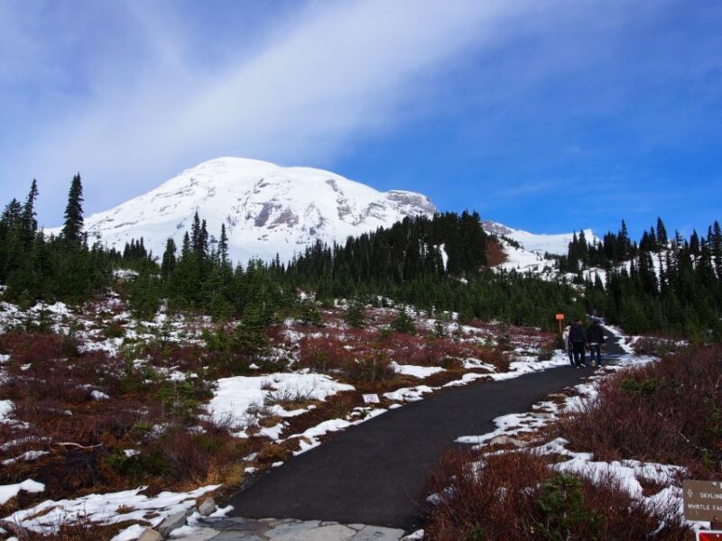 From Seattle: Mount Rainier National Park Guided Tour - Who Is This Tour Best For?