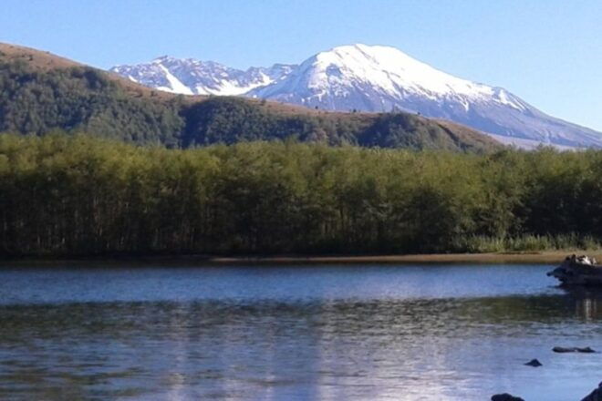 From Seattle: Mount Saint Helens Monument Private Day Trip - Inclusions