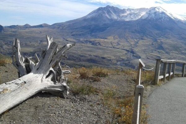 From Seattle: Mount Saint Helens Monument Private Day Trip - Booking and Pricing