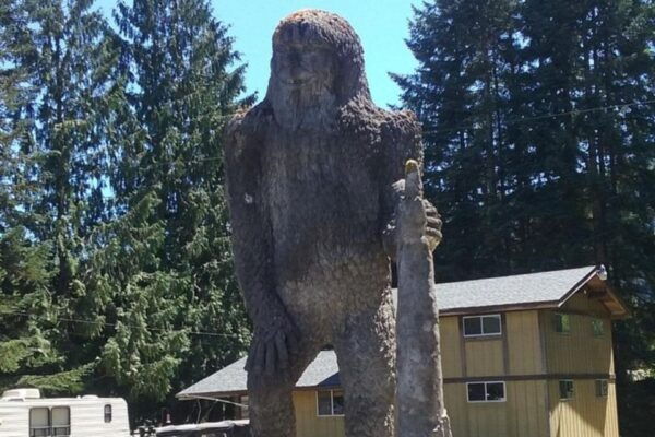 From Seattle: Mount Saint Helens Monument Private Day Trip - Frequently Asked Questions