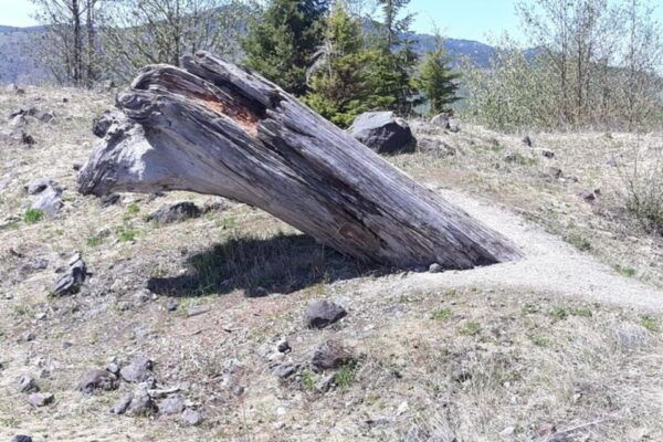 From Seattle: Mount Saint Helens Monument Private Day Trip - Directions and Departure Details