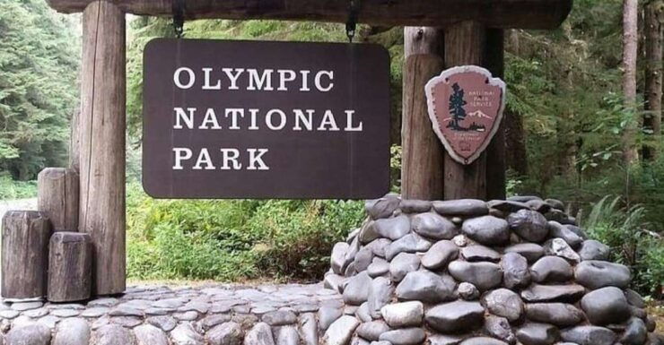 From Seattle: Olympic National Park Full Day Tour - Highlights of Olympic National Park