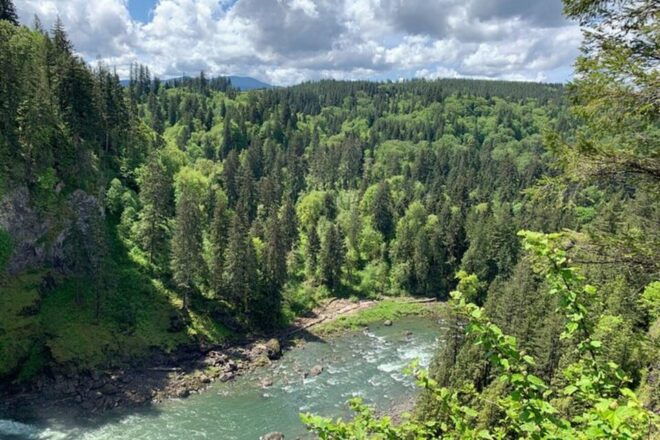 From Seattle: Pacific Northwest Waterfalls & Hiking Tour - Getting to the Trailhead
