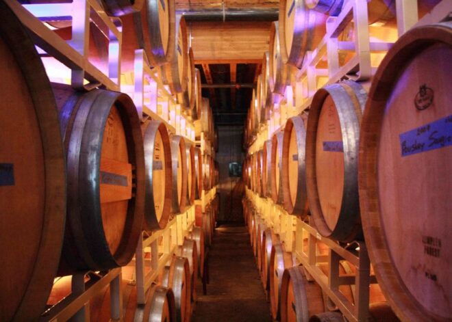 From Seattle: Snoqualmie Falls & Woodinville Wine Tasting - Important Information
