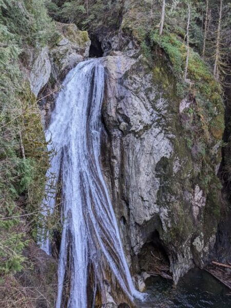 From Seattle: Snoqualmie, Twin Falls and Ancient Forest Trip - Booking and Cancellation