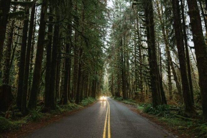 From Seattle: Twilight Forks Washington Tour - Additional Activities