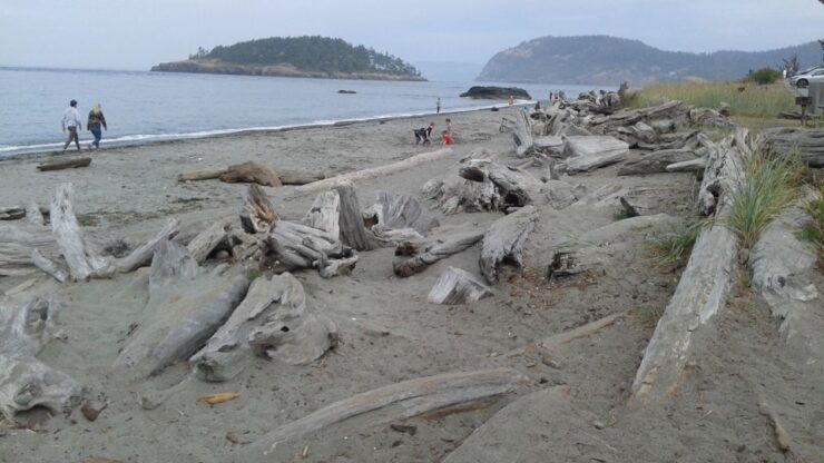 From Seattle: Whidbey Island and Deception Pass Private Tour - Activity Details