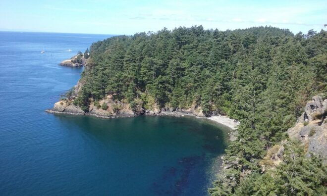From Seattle: Whidbey Island and Deception Pass Private Tour - Benefits of a Live Tour Guide