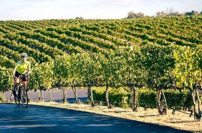 From Seattle Wine Tasting, Vineyards in Eastern WA - The Return Journey and Final Thoughts