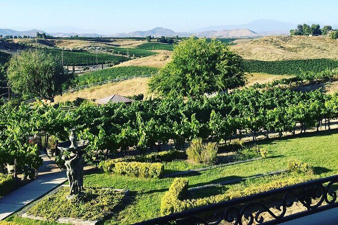 From Seattle Wine Tasting, Vineyards in Eastern WA - Who Is This Tour Best For?