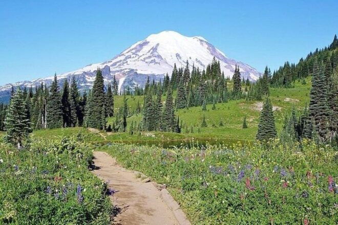 From Seattle:Full-Day Mt Rainier National Park Private Tour - Full Description