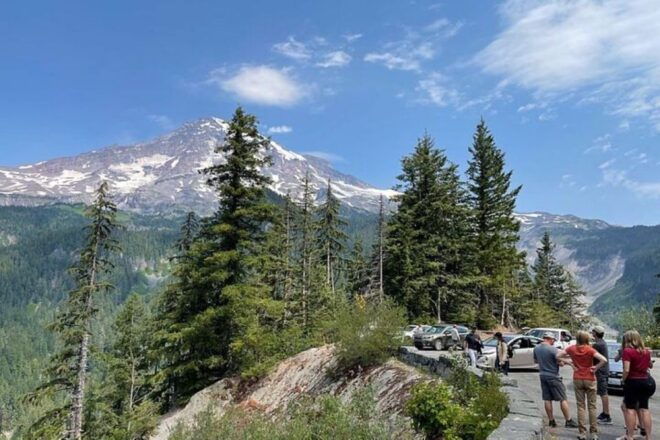 From Seattle:Full-Day Mt Rainier National Park Private Tour - Common Questions